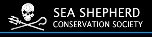 Click to learn more about the Sea Sheppard charity organization!