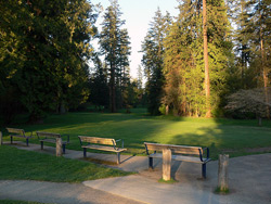 Central Park - Burnaby British Columbia