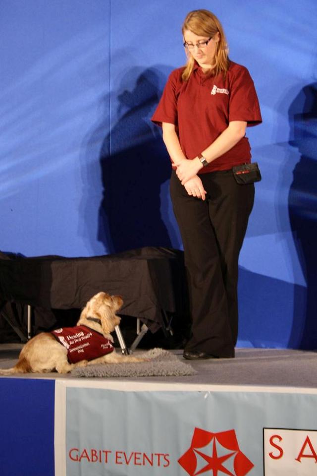 AT5 Hearing Dogs for the Deaf