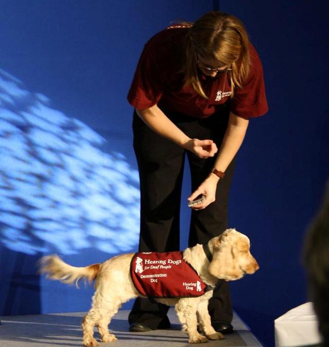 AT5 Hearing Dogs for the Deaf
