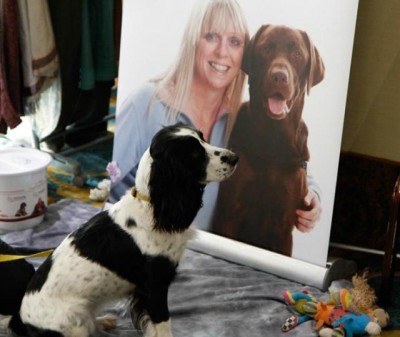 AT6 Ripples - Puppy from Hearing Dogs for Deaf People - Image courtesy GABIT Events