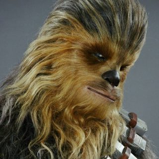 Click to visit and follow Peter Mayhew on Twitter