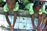 Haitian children washing hands to prevent cholera