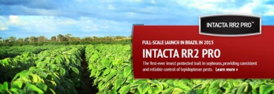 Monsanto Intacta Product banner logo - Click to learn more at the official web site!
