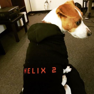 Helix Puppy Humphrey at the office